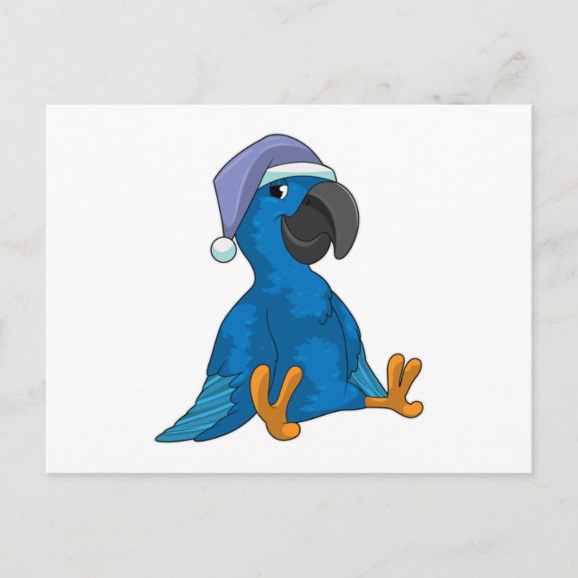 Cartão Postal Papagaio dormindo com touca de dormir (Frente)