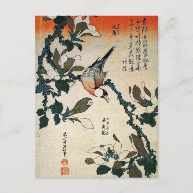 Cartão Postal Papagaio e Flores (Frente)