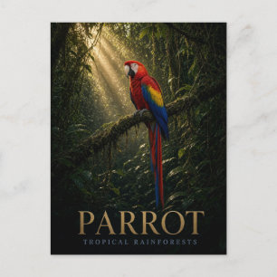 Cartão Postal Papagaio Florestas Tropicais Vida Selvagem ANIMAL