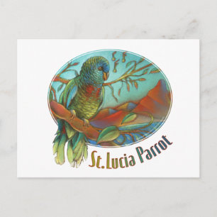 Cartão Postal Papagaio tropical de St Lucia