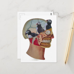 Cartão Postal Papagaios-do-mar na cabeça Colagem surrealista de 