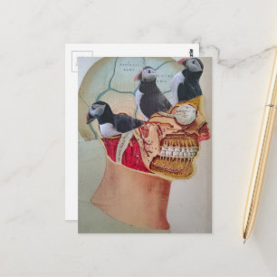 Cartão Postal Papagaios-do-mar na Colagem Surrealista de mídia m