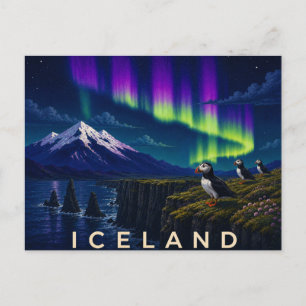 Cartão Postal Papagaios-do-mar no Penhasco sob a Aurora   Islând