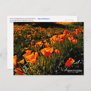 Cartão Postal Papagaios Dourados do México Laranja florescendo n