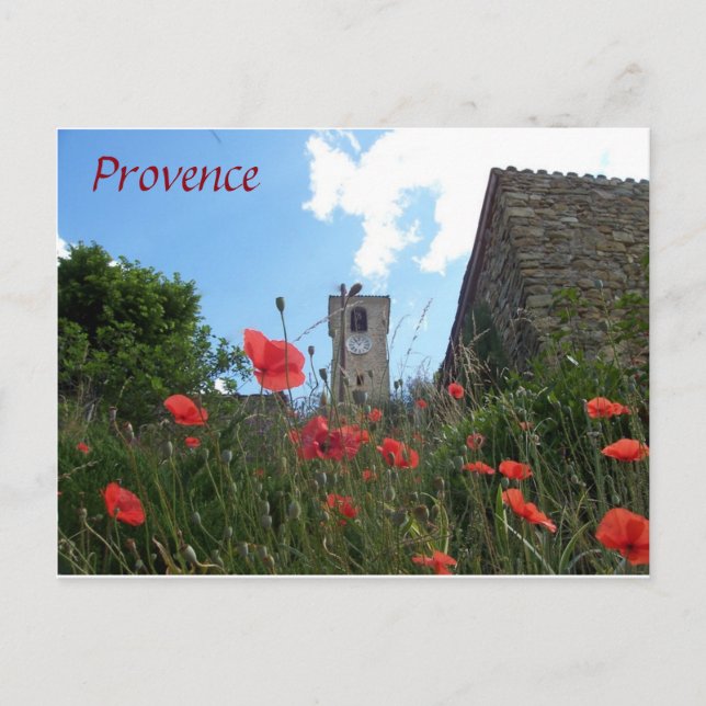 Cartão Postal Papagaios na Provença (Frente)