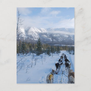 Cartão Postal Papagaios - Paisagem