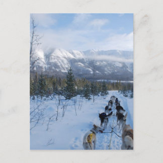 Cartão Postal Papagaios - Paisagem