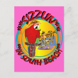 CARTÃO POSTAL PAPAGAIOS SIZZLIN