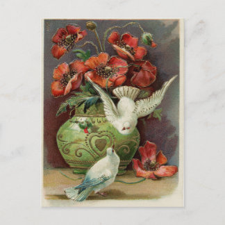 Cartão Postal Papagaios Vintage e Aves