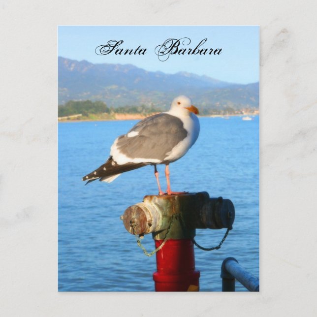 Cartão Postal Papais noeis Barbara Seagull (Frente)