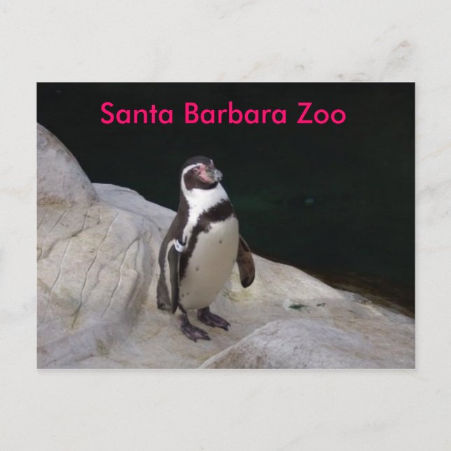 Cartão Postal Papais noeis Barbara Zoo (Frente)