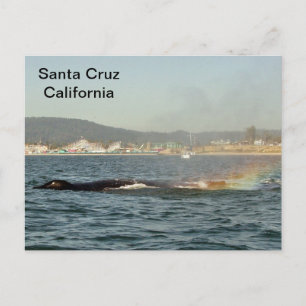 Cartão Postal Papais noeis Cruz, CA Humpback Baleia Arco-Íris Ca