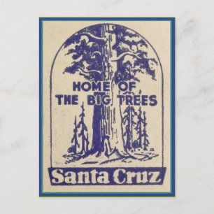 Cartão Postal Papais noeis Cruz California - Lar das Grandes Árv