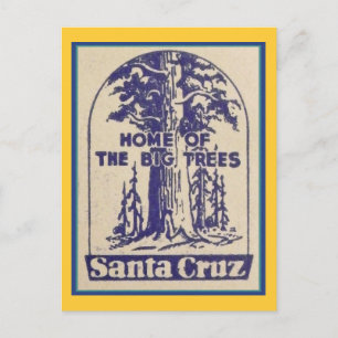 Cartão Postal Papais noeis Cruz California - Lar das Grandes Árv