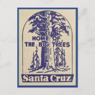 Cartão Postal Papais noeis Cruz California - Lar das Grandes Árv