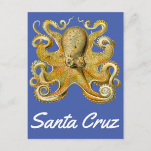 Cartão Postal Papais noeis Cruz vintage Octopus
