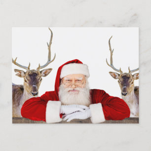 Cartão Postal Papais noeis e suas renas — Cartão-postal de Natal