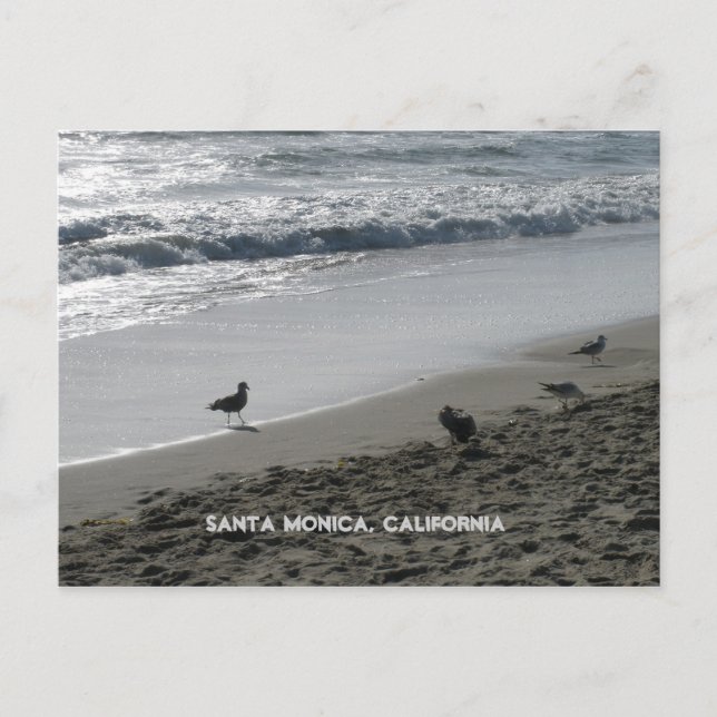 Cartão Postal Papais noeis Monica, Cartão-postal da Califórnia (Frente)
