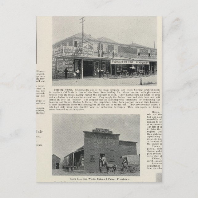 Cartão Postal Papais noeis Rosa, Califórnia 2 (Frente)