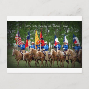 Cartão Postal Papais noeis Rosa Palomino Club Vernon, Texas