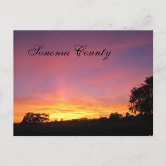Cartão Postal Papais noeis Rosa Sunset