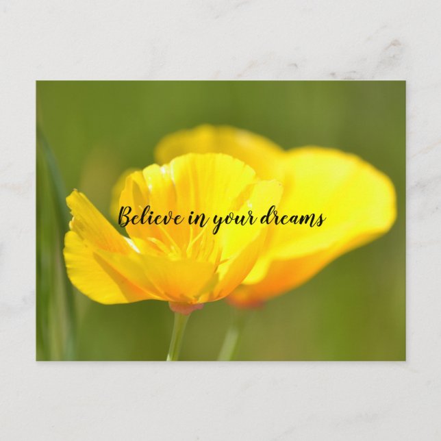 Cartão Postal Papas Laranja (Frente)