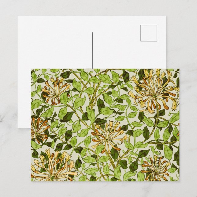 Cartão Postal Papel de Parede Floral Honeysuckle de William Morr (Frente/Verso)