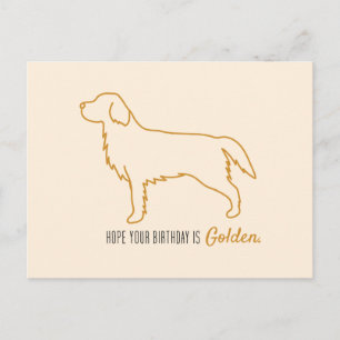 Cartão Postal Papel Higiênico Golden Retriever 