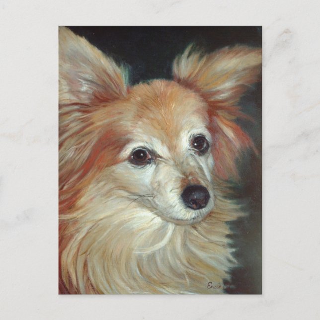 Cartão Postal Papillon (Frente)