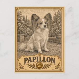 Cartão Postal Papillon, Cachorro Vintage Heritage