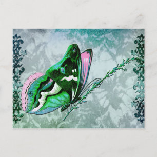 Cartão Postal PAPILLON COLORÉ EM AZUL TEAL, VERDE e ROSA