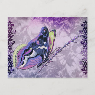 Cartão Postal PAPILLON COLORÉ in LILAC, PURPLE and PRIMAVERA GR