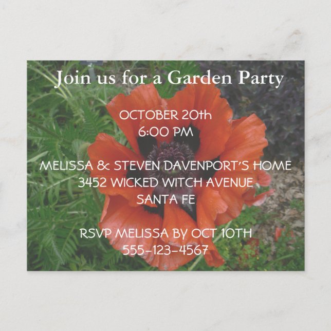 Cartão Postal papoila oriental (Frente)