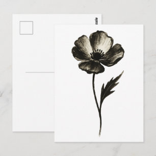 Cartão Postal Papoula Minimalista – Arte em Tinta Botânica Monoc
