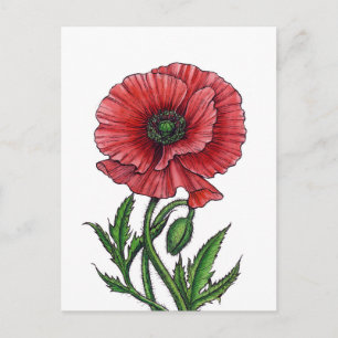 Cartão Postal Papoula vermelha, aquarela e tinta