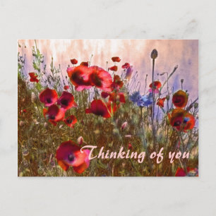 Cartão Postal Papoulas artísticas!