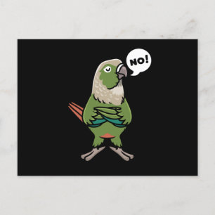Cartão Postal Paquete Verde Cheek Conure de Mão Verde