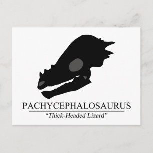 Cartão Postal Paquicefalossauro Crânio