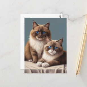 Cartão Postal Par Cozy de Ragdoll Cats Fluffy Pet Art