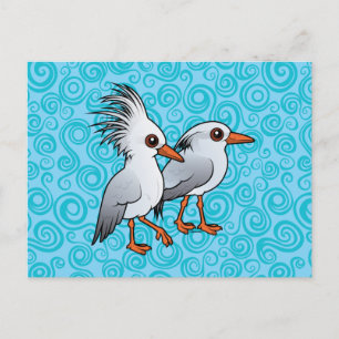 Cartão Postal Par de Kagu