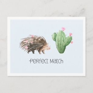 Cartão Postal Par Perfeito ouriço Fofo e Amor de Cacto