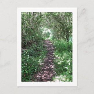 Cartão Postal Para a floresta: Cheshire, Inglaterra