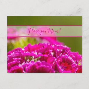 Cartão Postal Para a melhor mamãe do mundo!