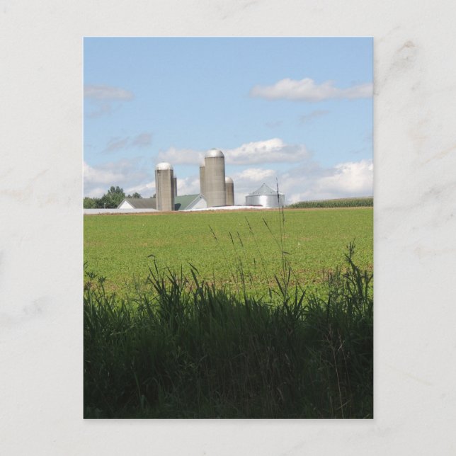 Cartão Postal Para baixo na Fazenda (Frente)