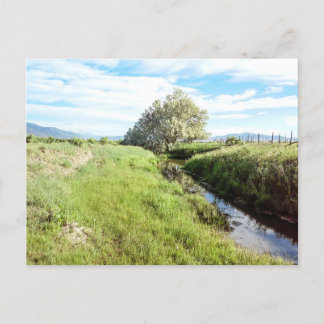 Cartão Postal Para Baixo Pelo Cartão-Postal Creek