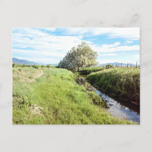 Cartão Postal Para Baixo Pelo Cartão-Postal Creek (Frente)