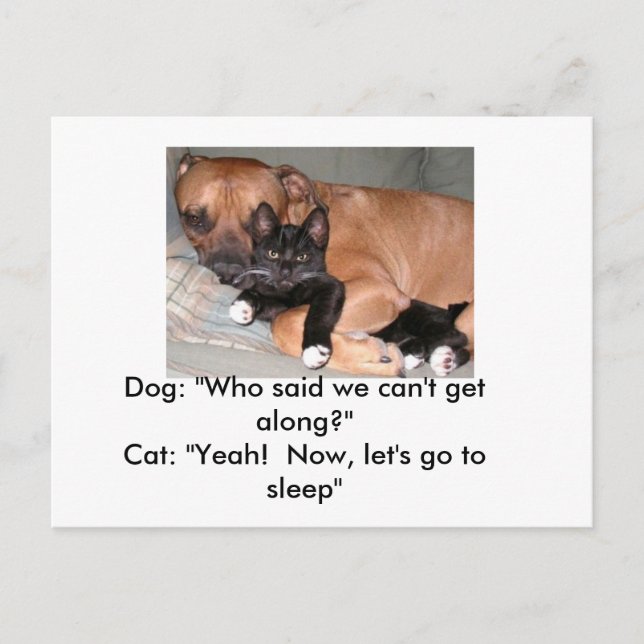 Cartão postal para cães e gatos (Frente)