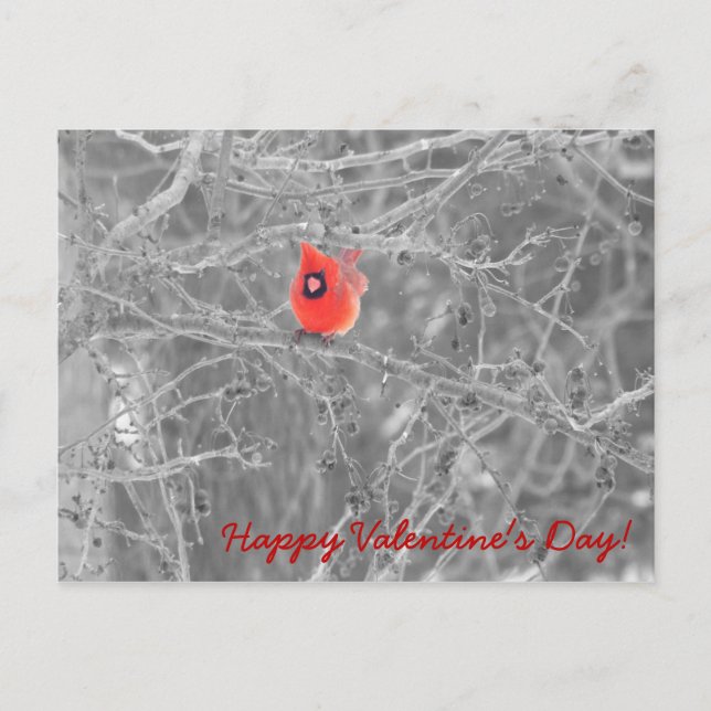 Cartão postal para Cardinais do Dia do namorados (Frente)