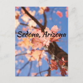 Cartão Postal para cima, para cima, nas folhas Sedona, Arizona