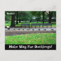 Cartão Postal Para Ducklings